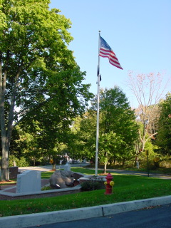 US FLAG